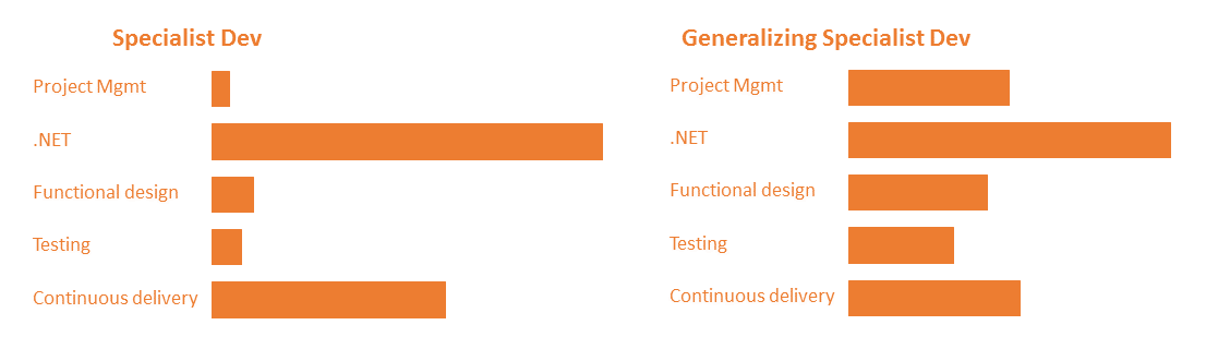 Generalizing specialist skills representation, with several skills developed and some with expertise
