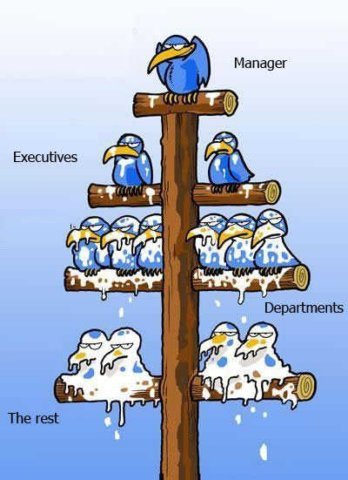 Birds represented as a hierarchy and high levels pooing on lower levels